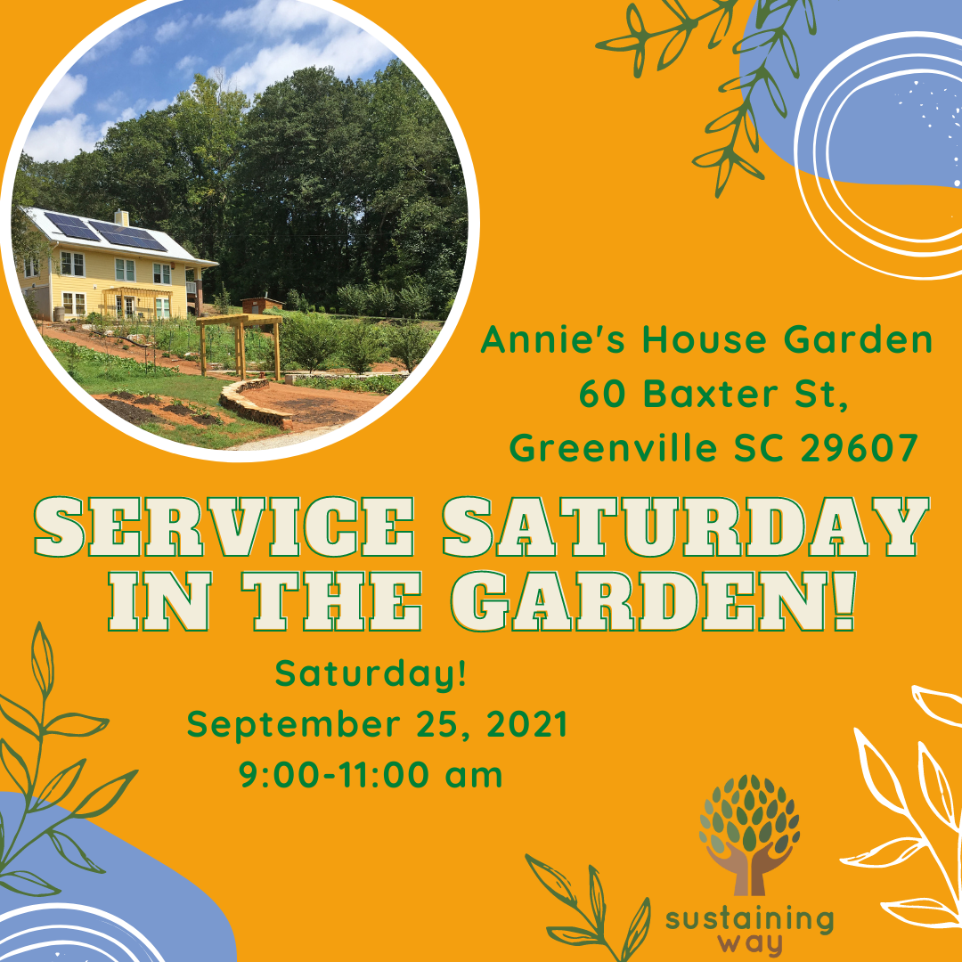 Service Saturday61721 (ZE) Service Saturday61721 (ZE)