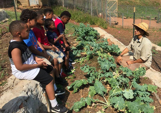 children-learning-about-farming-and-plants