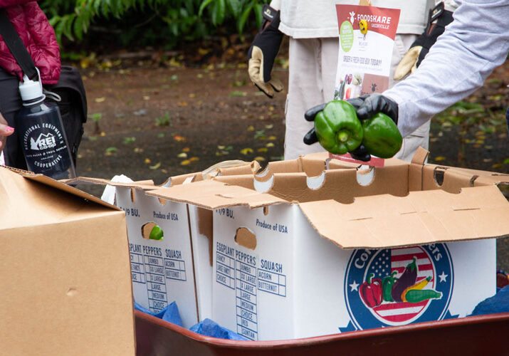 packing-produce-in-boxes-ready-to-ship