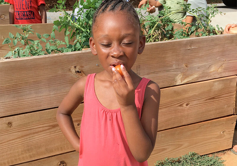 sustainingway-how-we-do-it